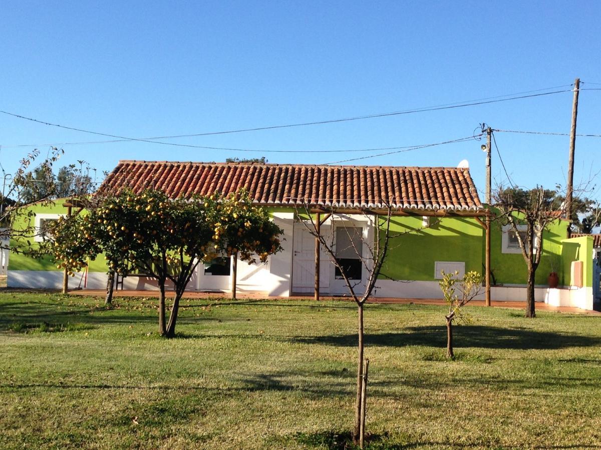 Verdemar Cercal do Alentejo Esterno foto