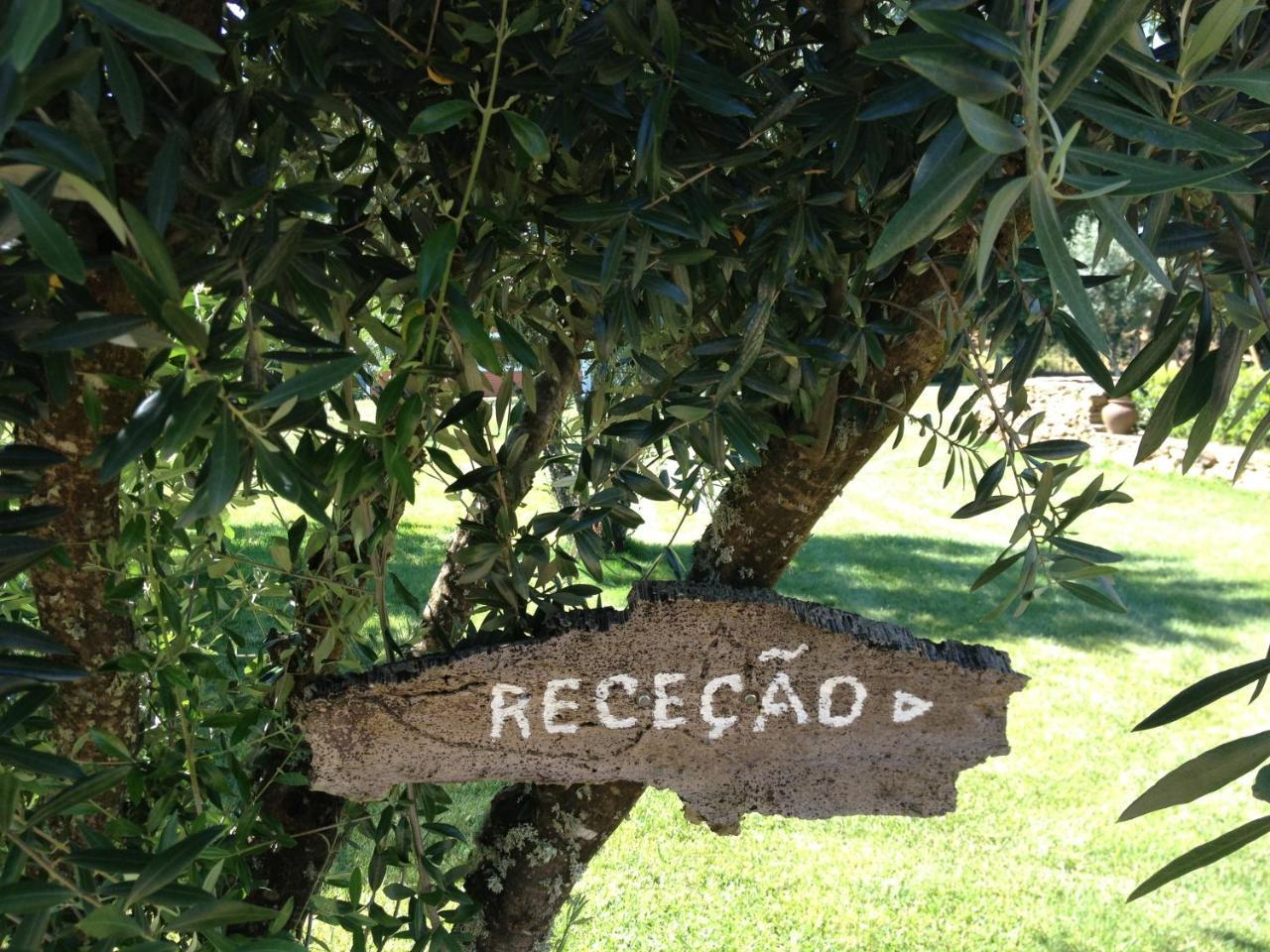 Verdemar Cercal do Alentejo Esterno foto