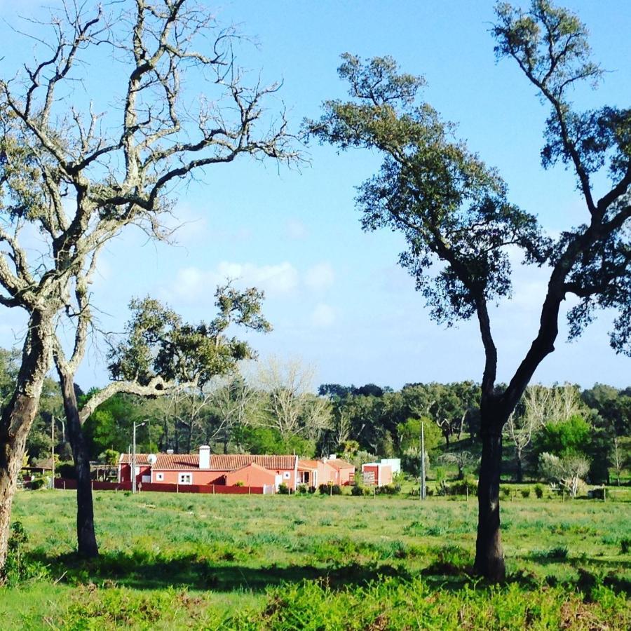 Verdemar Cercal do Alentejo Esterno foto